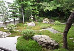 “無(wú)為而治”