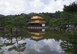 觀(guān)鳳凰戰(zhàn)略有感