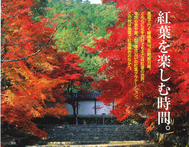 搜房網(wǎng)——白林：建筑設(shè)計(jì)和教書(shū)育人是今生最大的追求